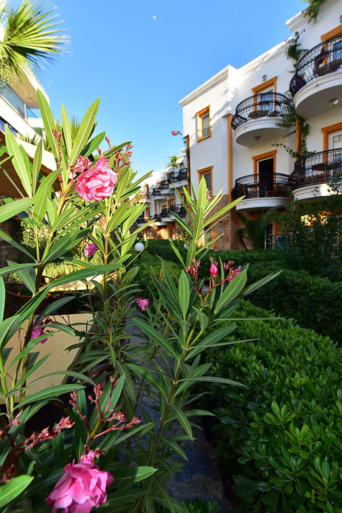 Hotel Tropicana 3*
