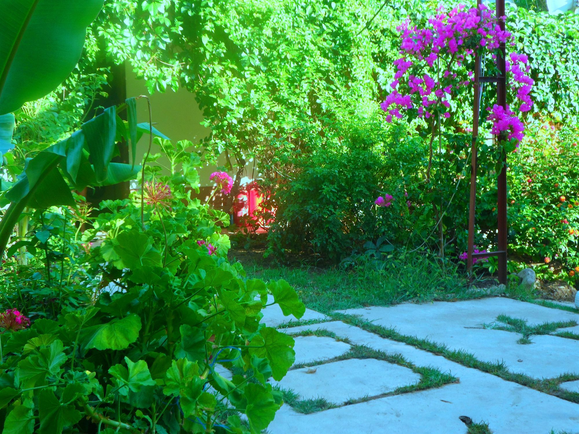 Guest house Arya