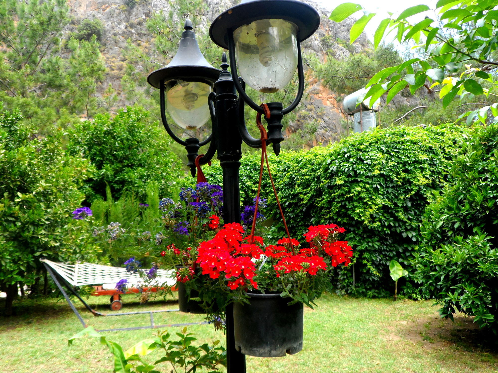 Arya Guest house Cirali