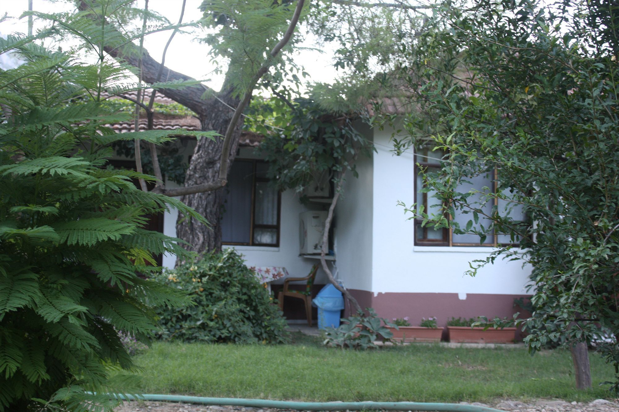 Guest house Arya 3*