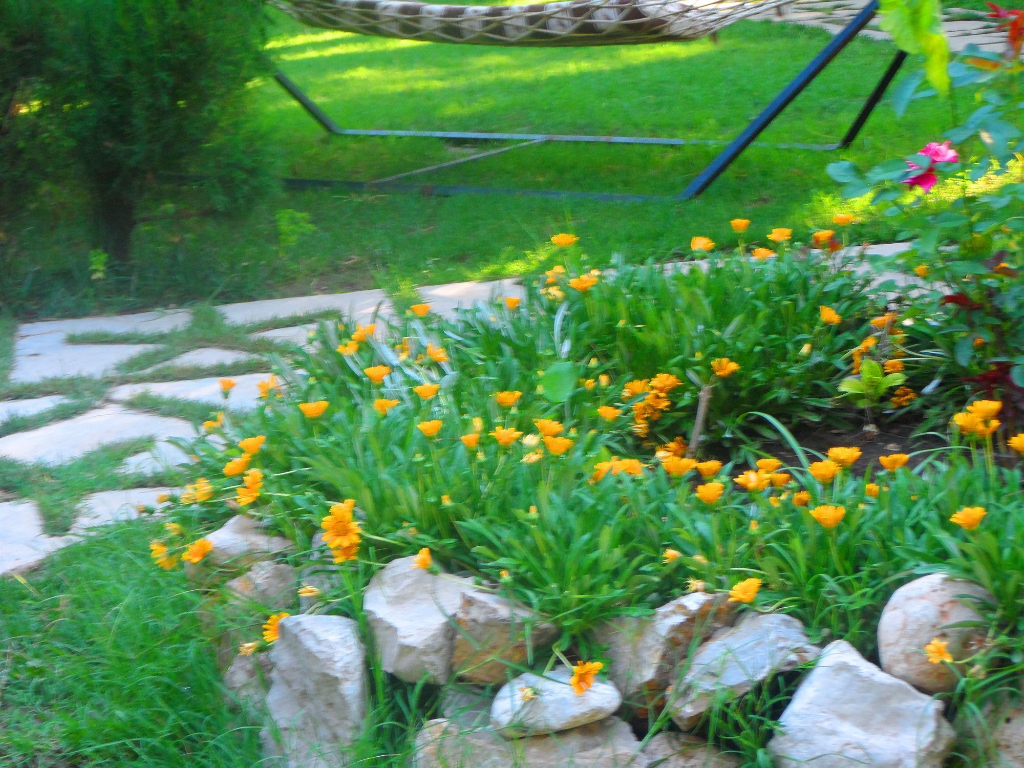 Arya Guest house Cirali