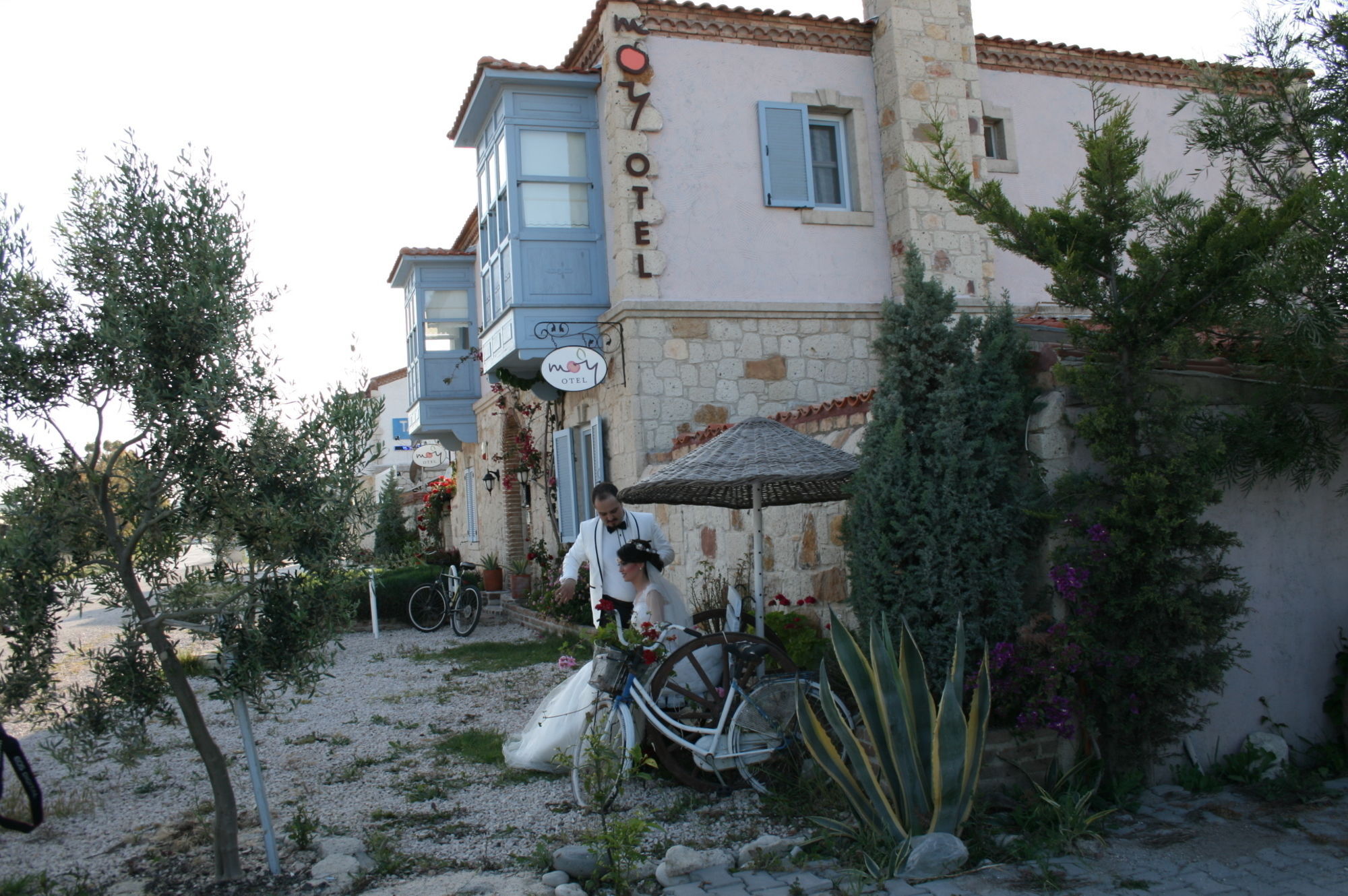 Moy Alacati