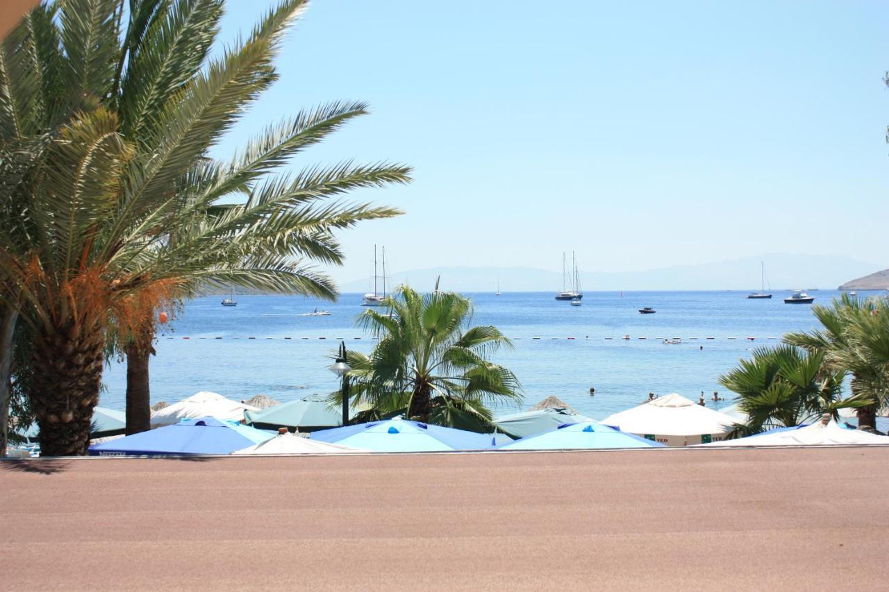 Hotel Toloman 2*