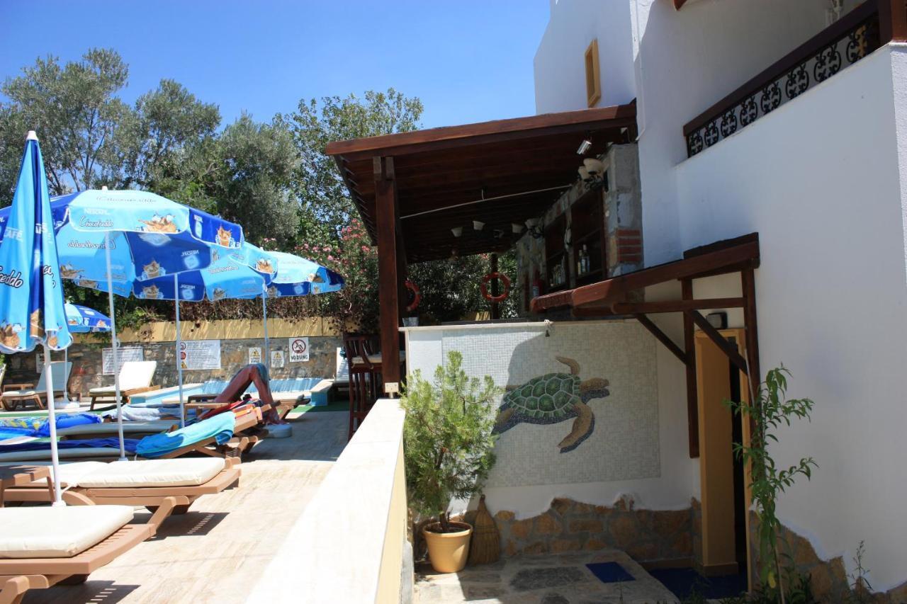 Hotel Toloman