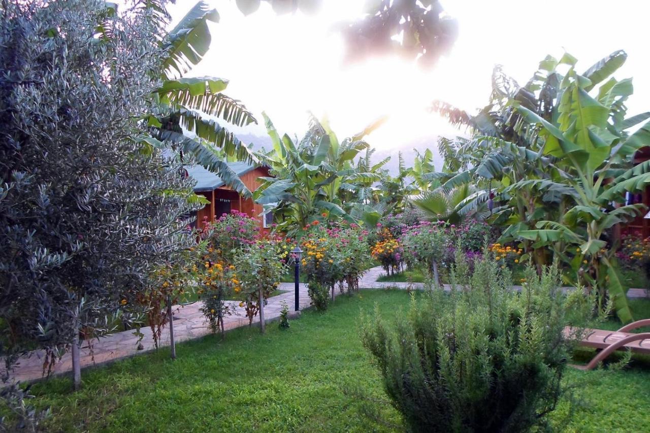 Guest house Estelar