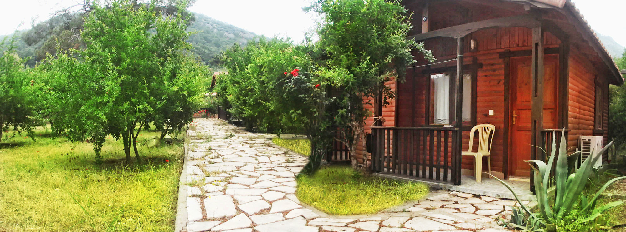 Guest house Koala Olympos