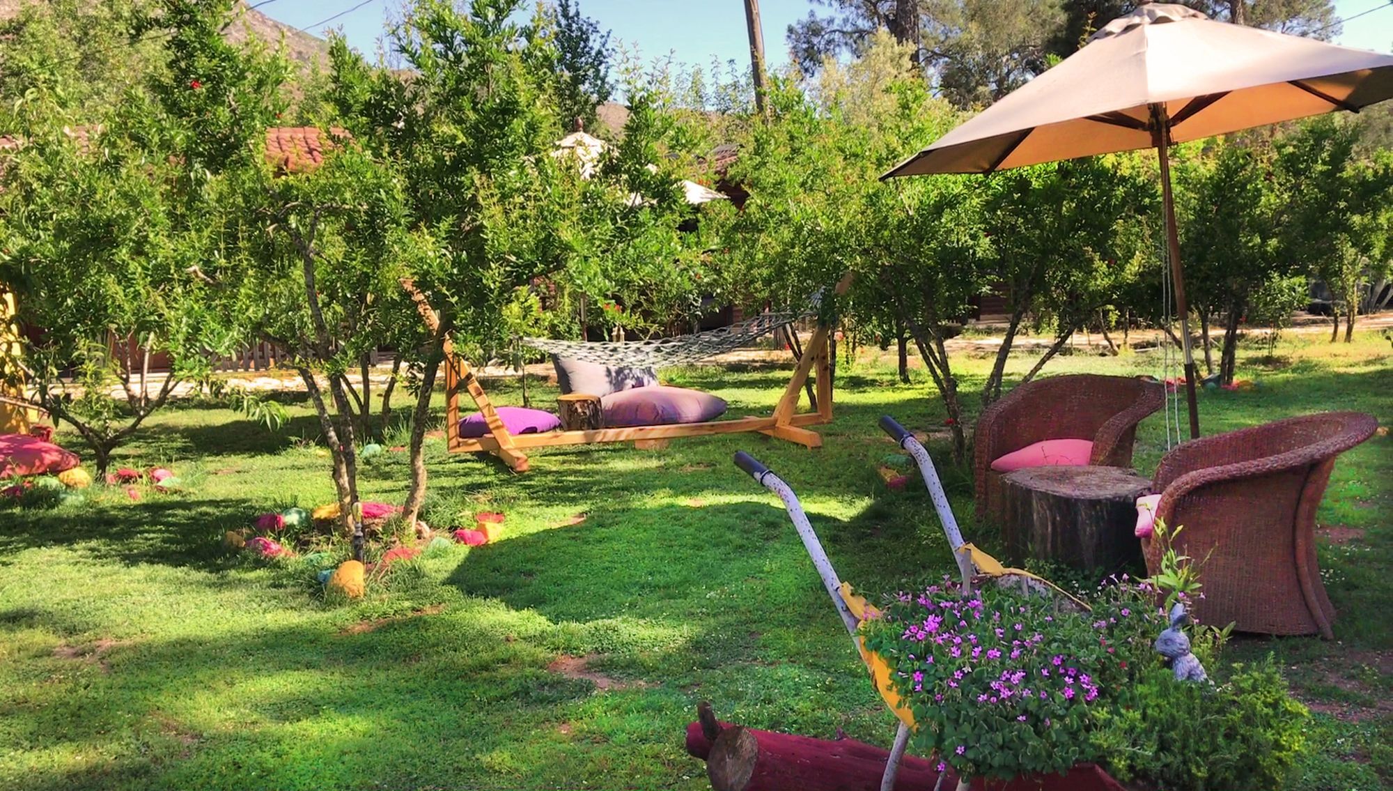 Koala Guest house Olympos