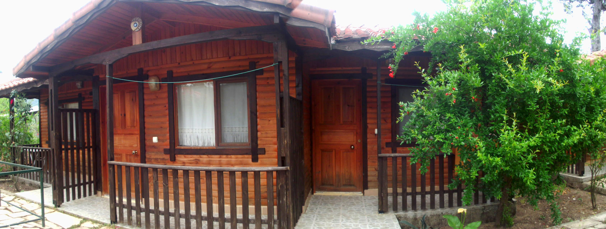 Koala Guest house