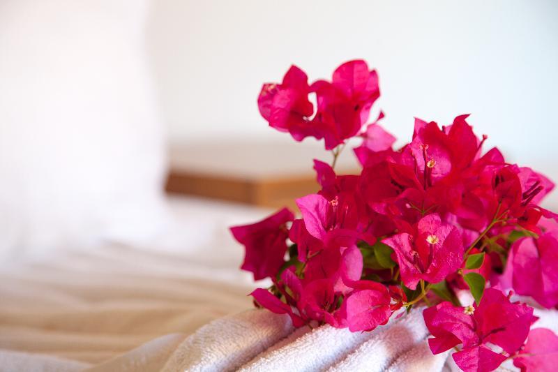Hotel Nergos 3*