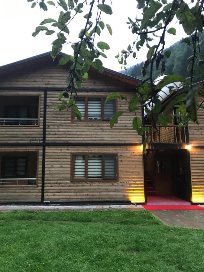 New Toprak Apartment