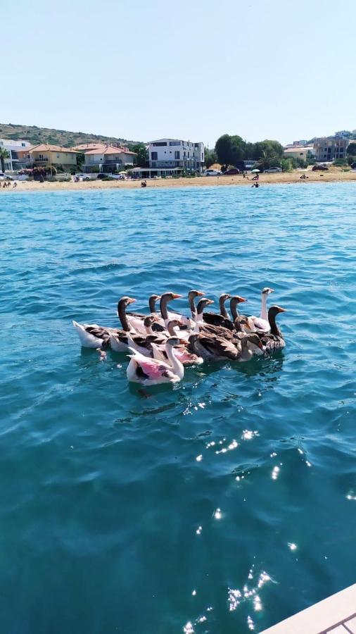 Ege Fener Hotel Cesme