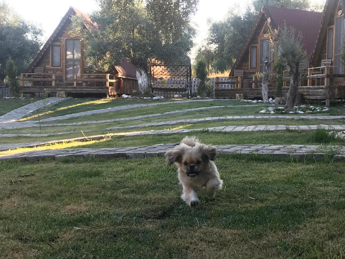 Kazdaglari Ida Natura Bungalov Hotel Hotel