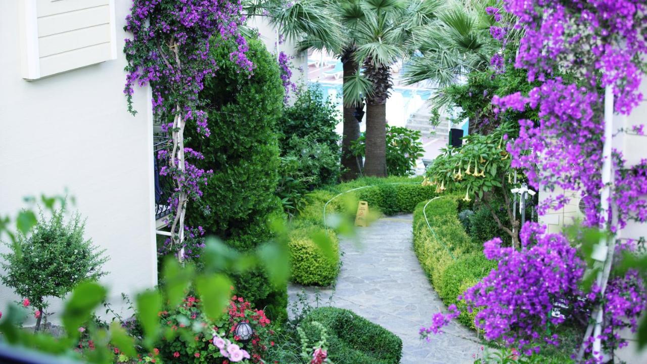 Hotel Yel 3*