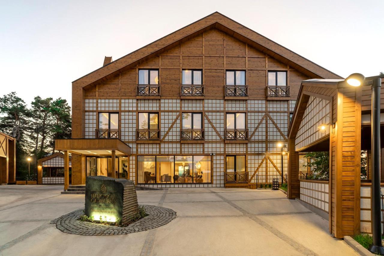 Hotel Hancioglu Orman Evleri &