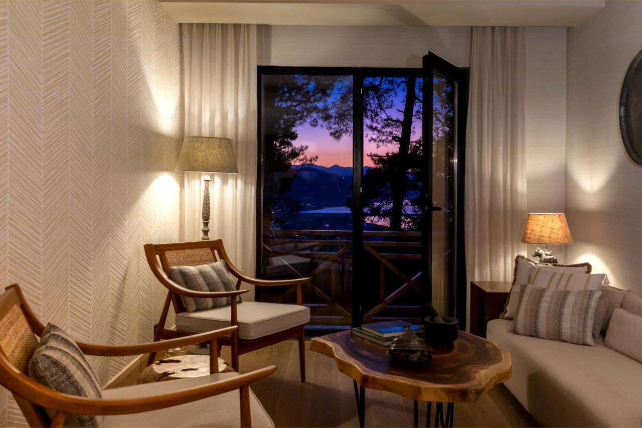 Hancioglu Orman Evleri & Hotel