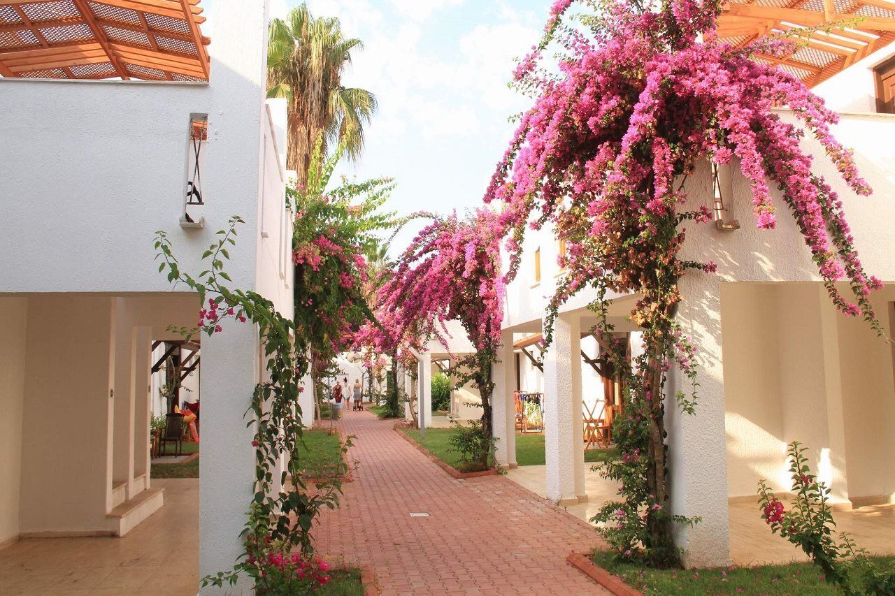 Club Kastalia Village 5* Konakli
