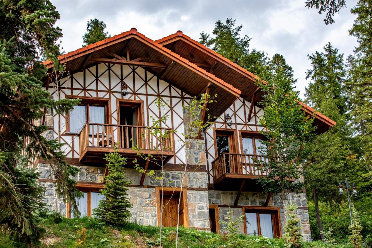 Foleya Mountain & Hotel