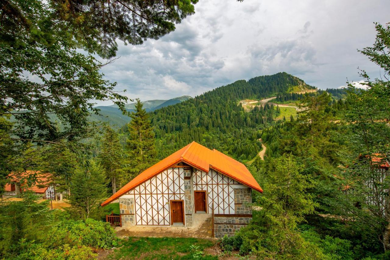 Hotel Foleya Mountain & Trabzon