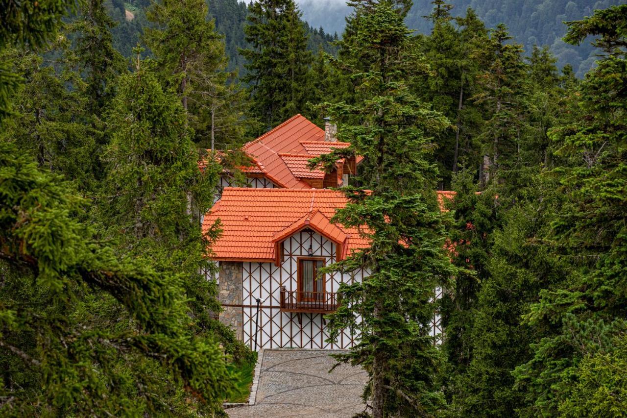 Foleya Mountain & Hotel