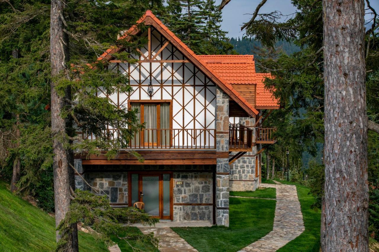 Hotel Foleya Mountain & 3*