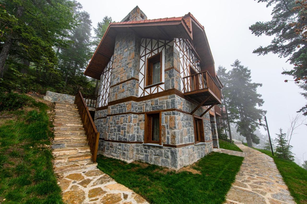 Foleya Mountain & 3* Trabzon