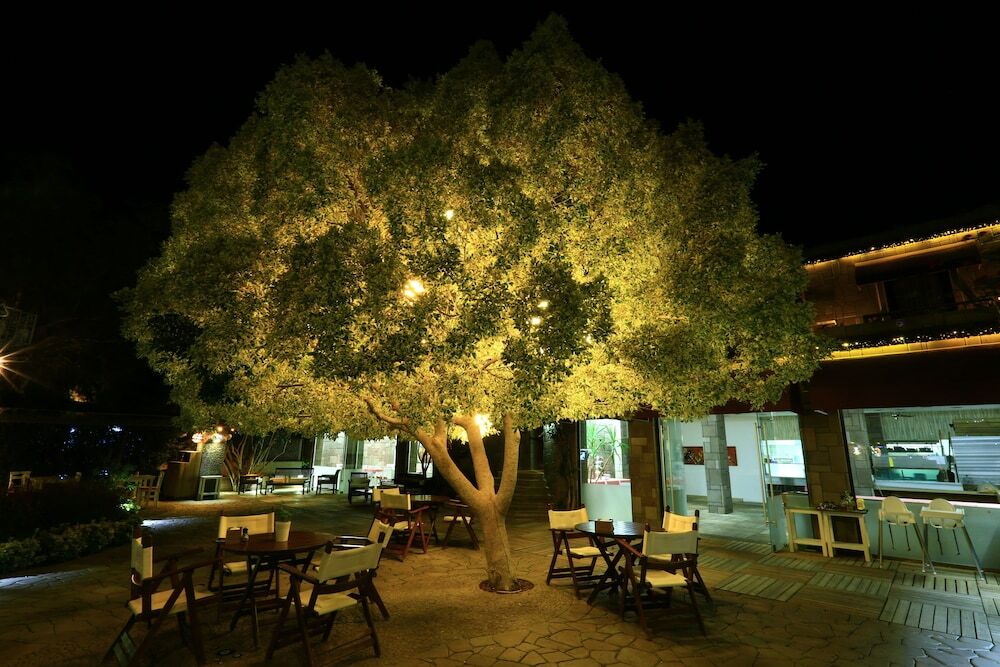 Costa Farilya Special Class Bodrum Gundogan (Bodrum)