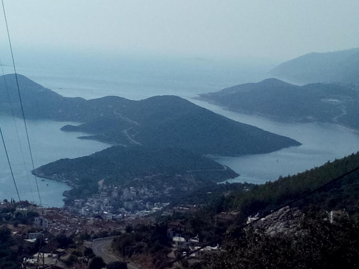 Koknar * Kas