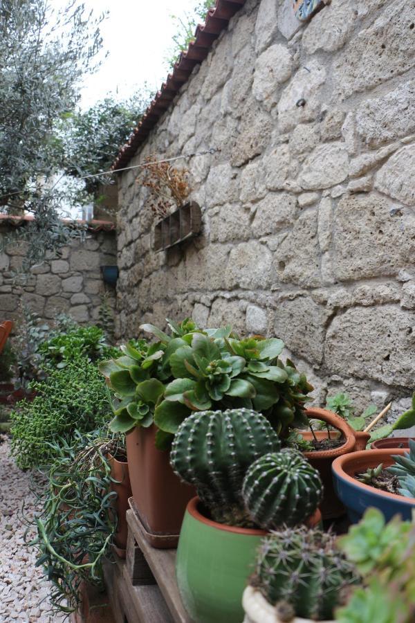 Lilyum - Tas Ev Alacati