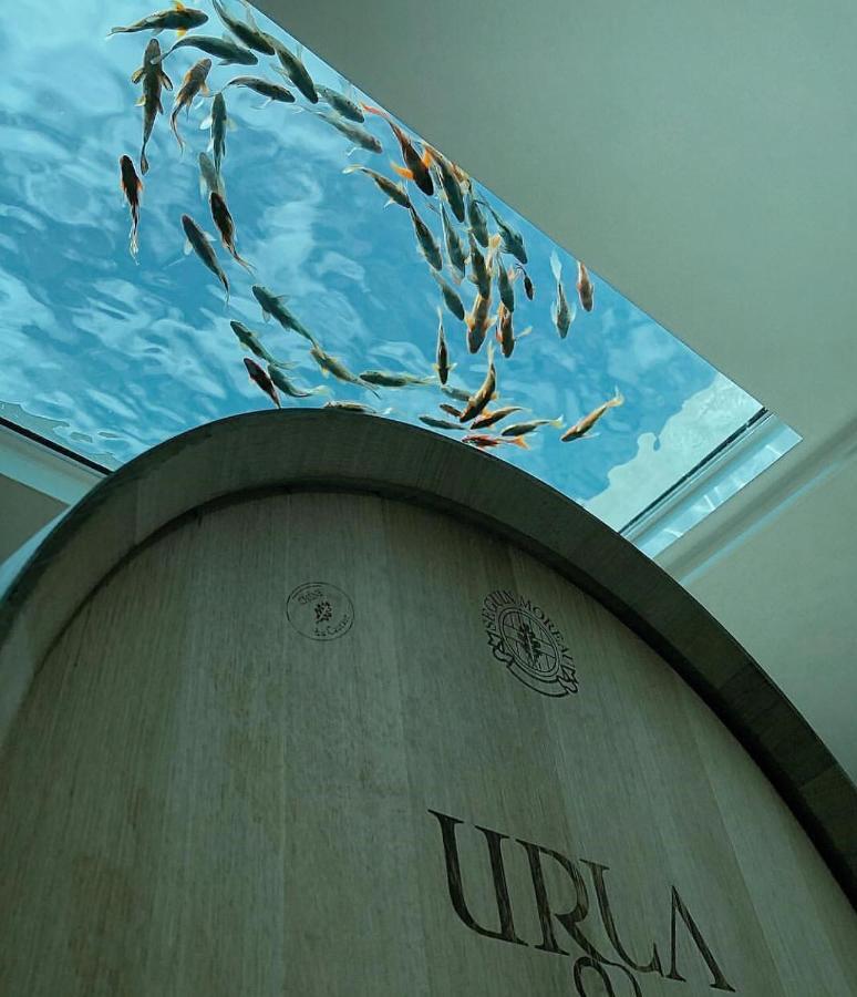 Two 3* Urla