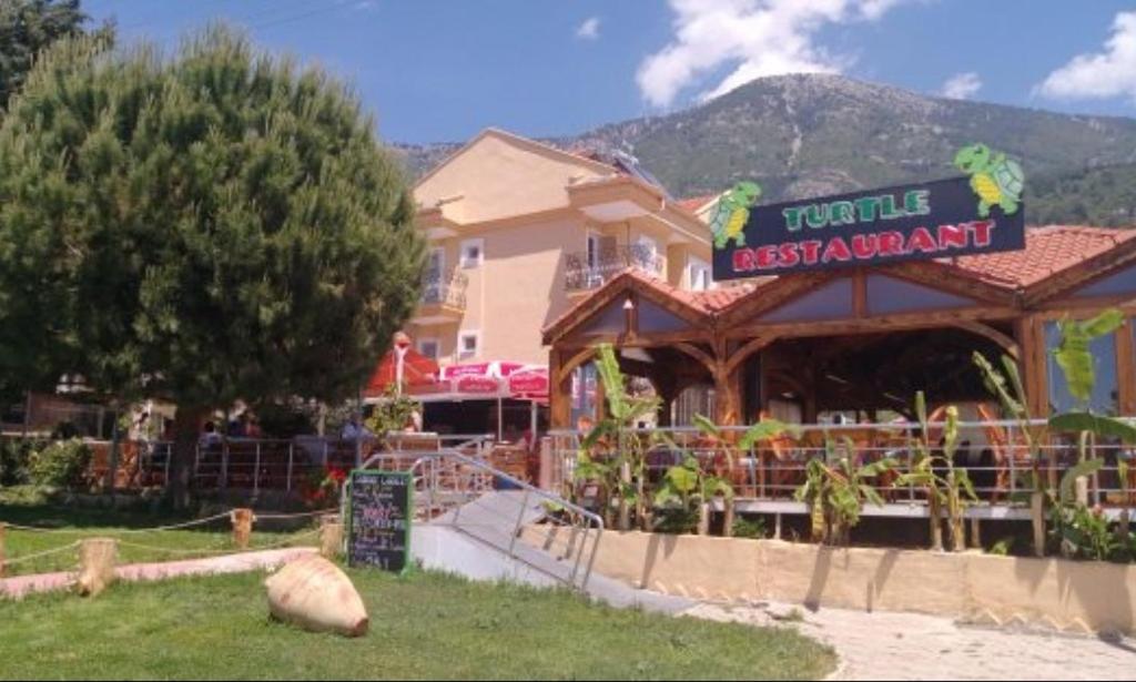 Turtle Apart Fethiye