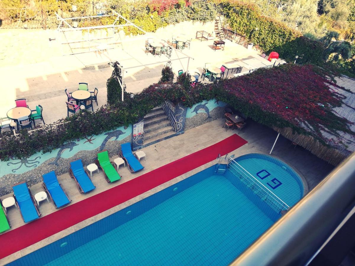 Club Didyma 3*