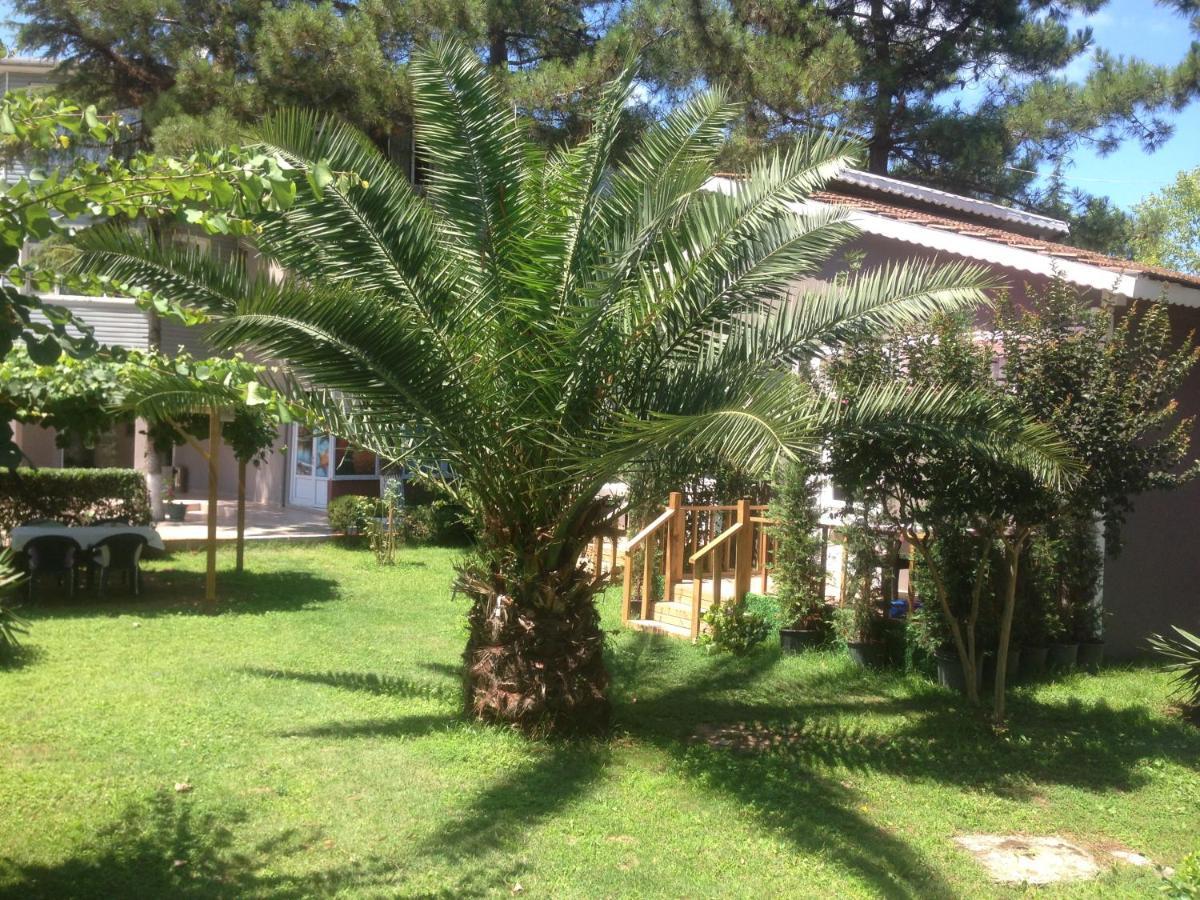 Shila Doert Mevsim Tatil Koyu Resort 3*
