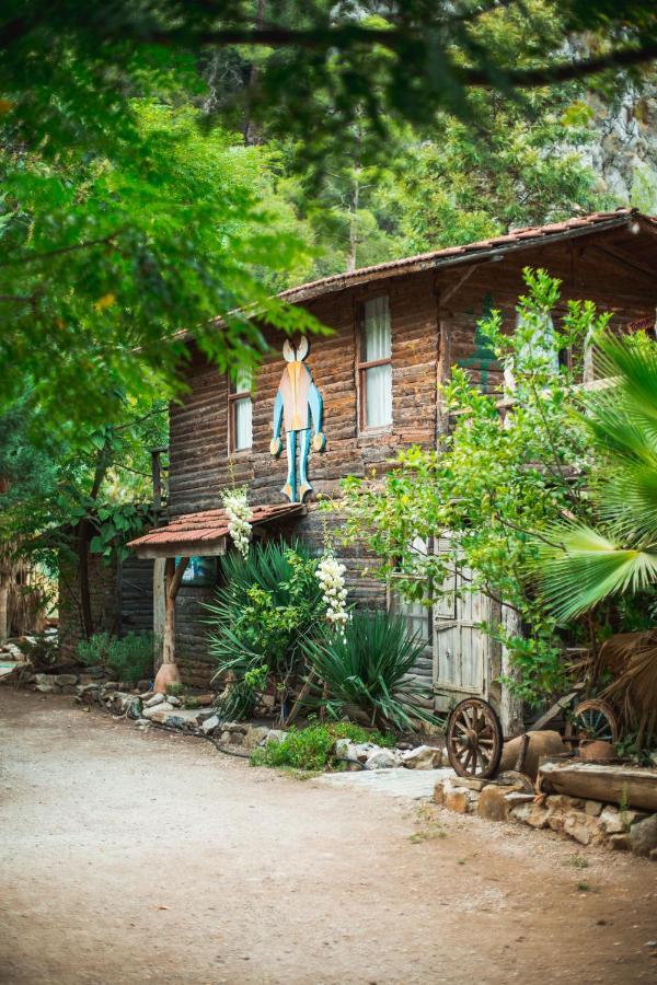 Kadir's Tree Hostel *