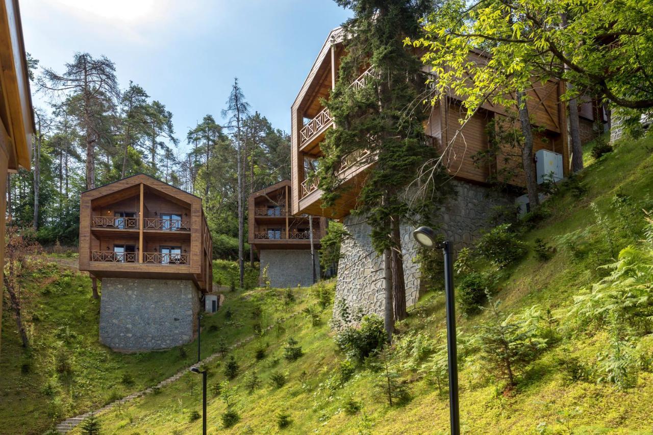 Hotel Hancioglu Orman Evleri & Trabzon