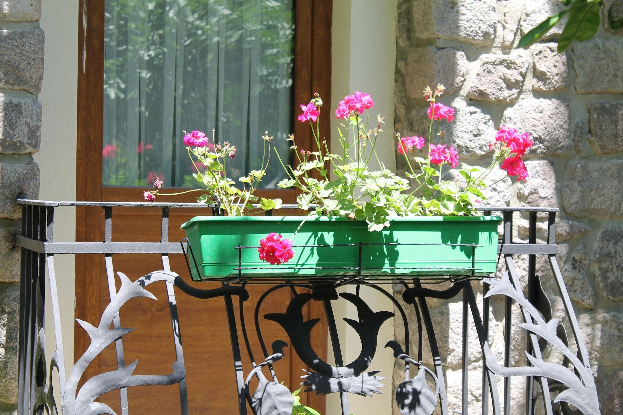 Bella Garden