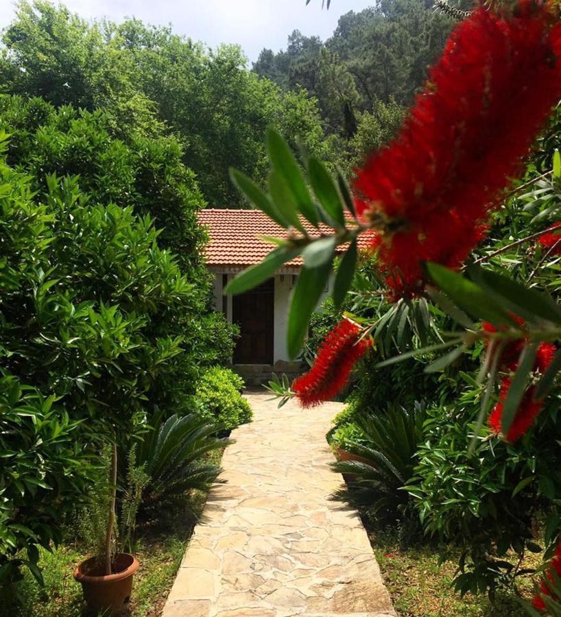 Aparthotel Dolunay
