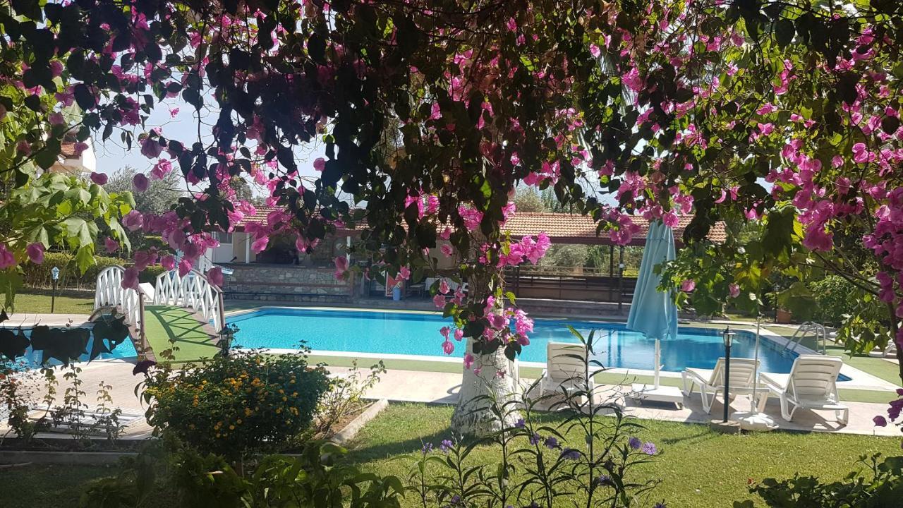 Lale * Fethiye