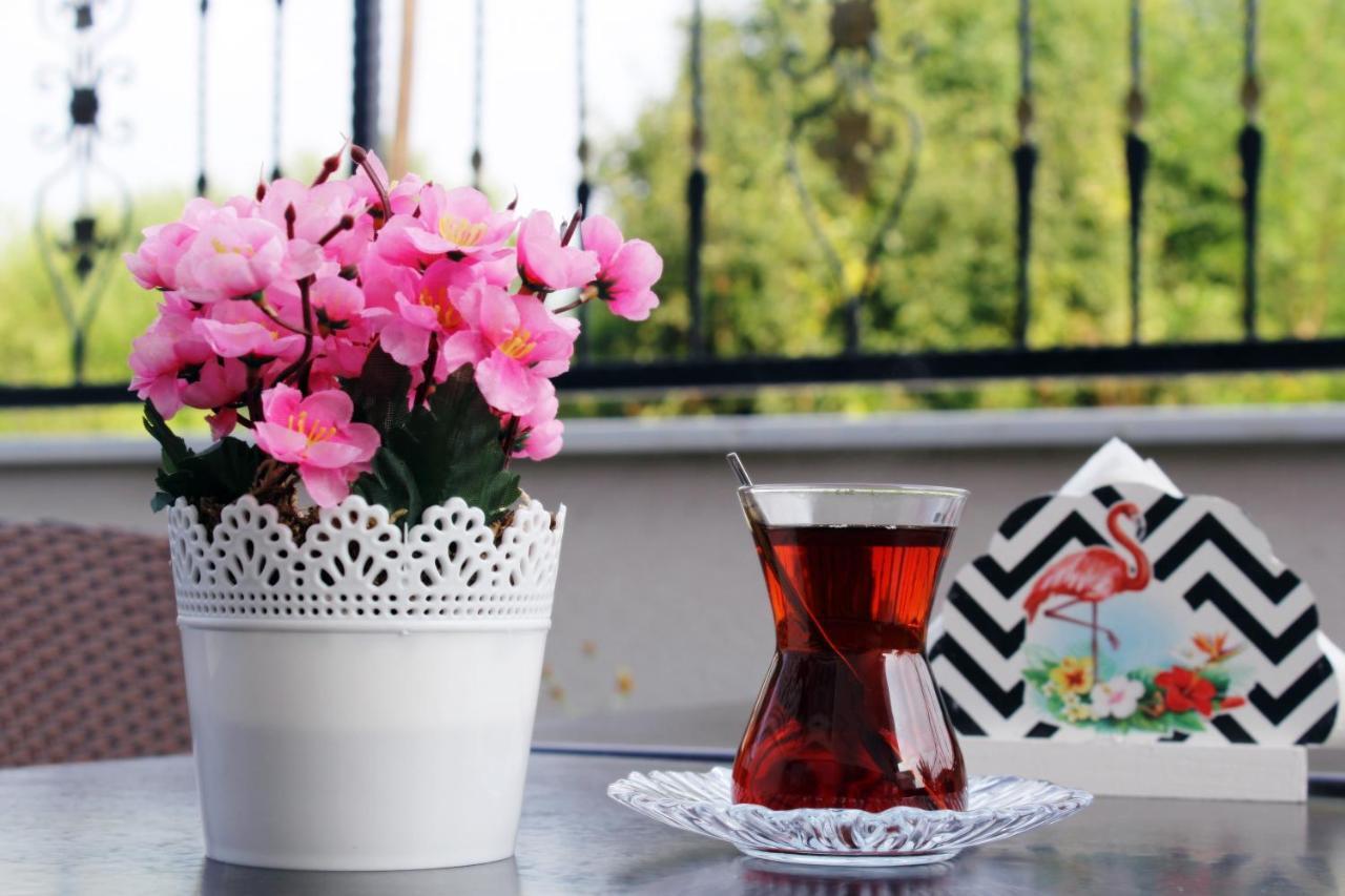 Lagun Hotel 2*