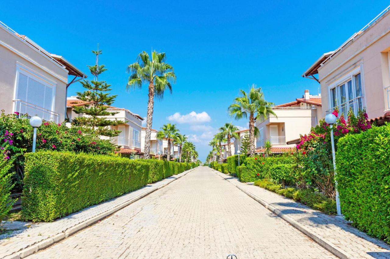 Paradise Town Hadrian 100 Mbps Free Wifi
