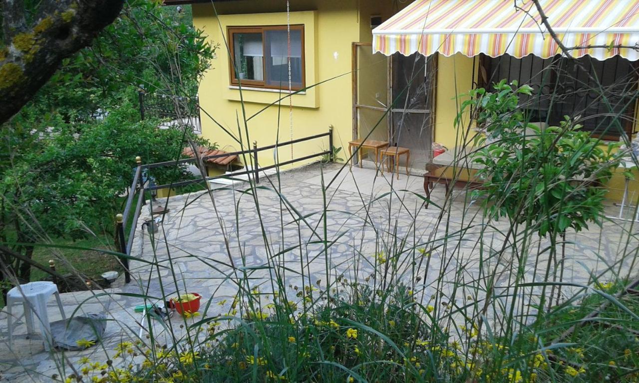 Apartment Waldvilla