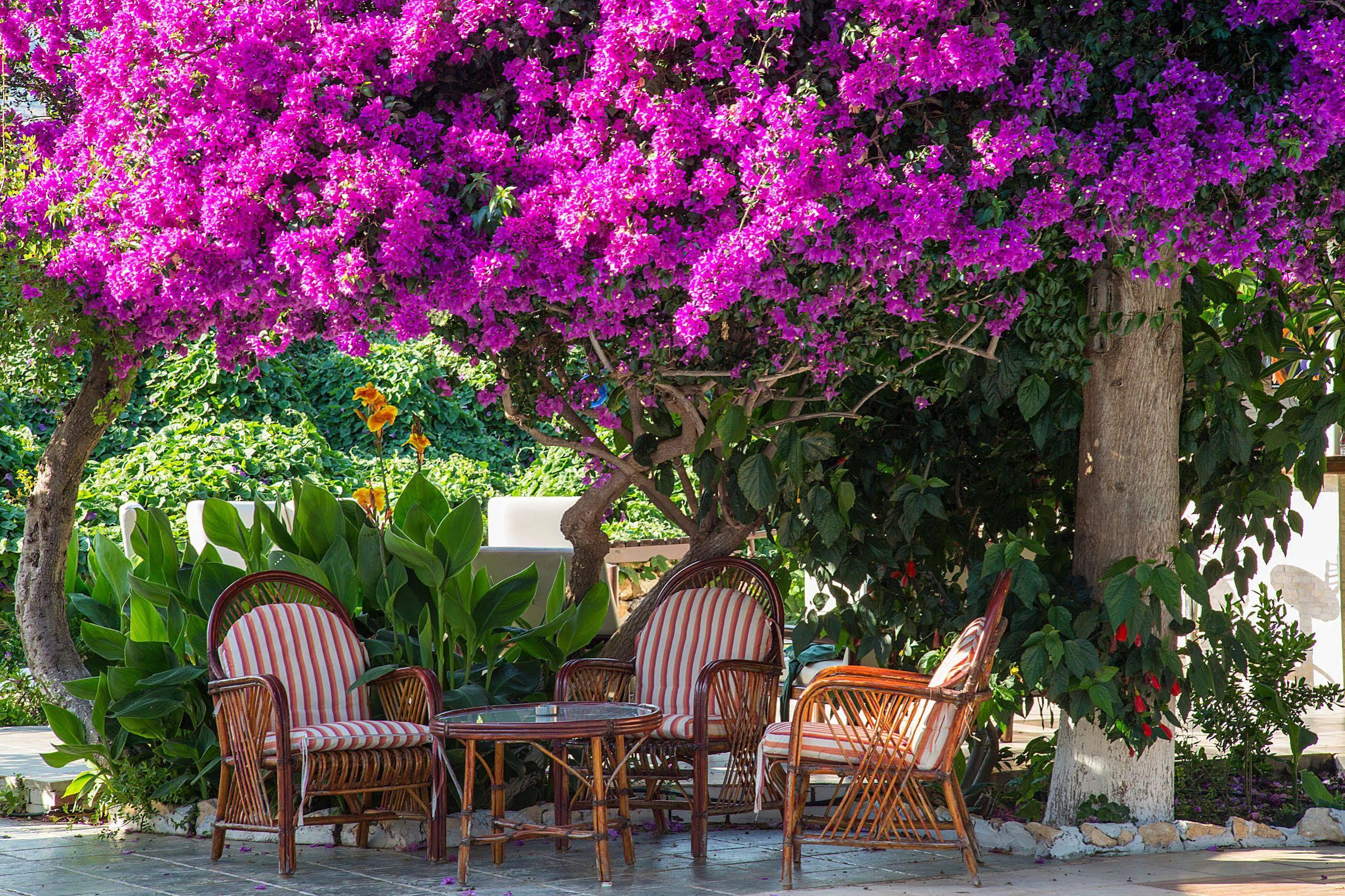 Hotel Club Antiphellos