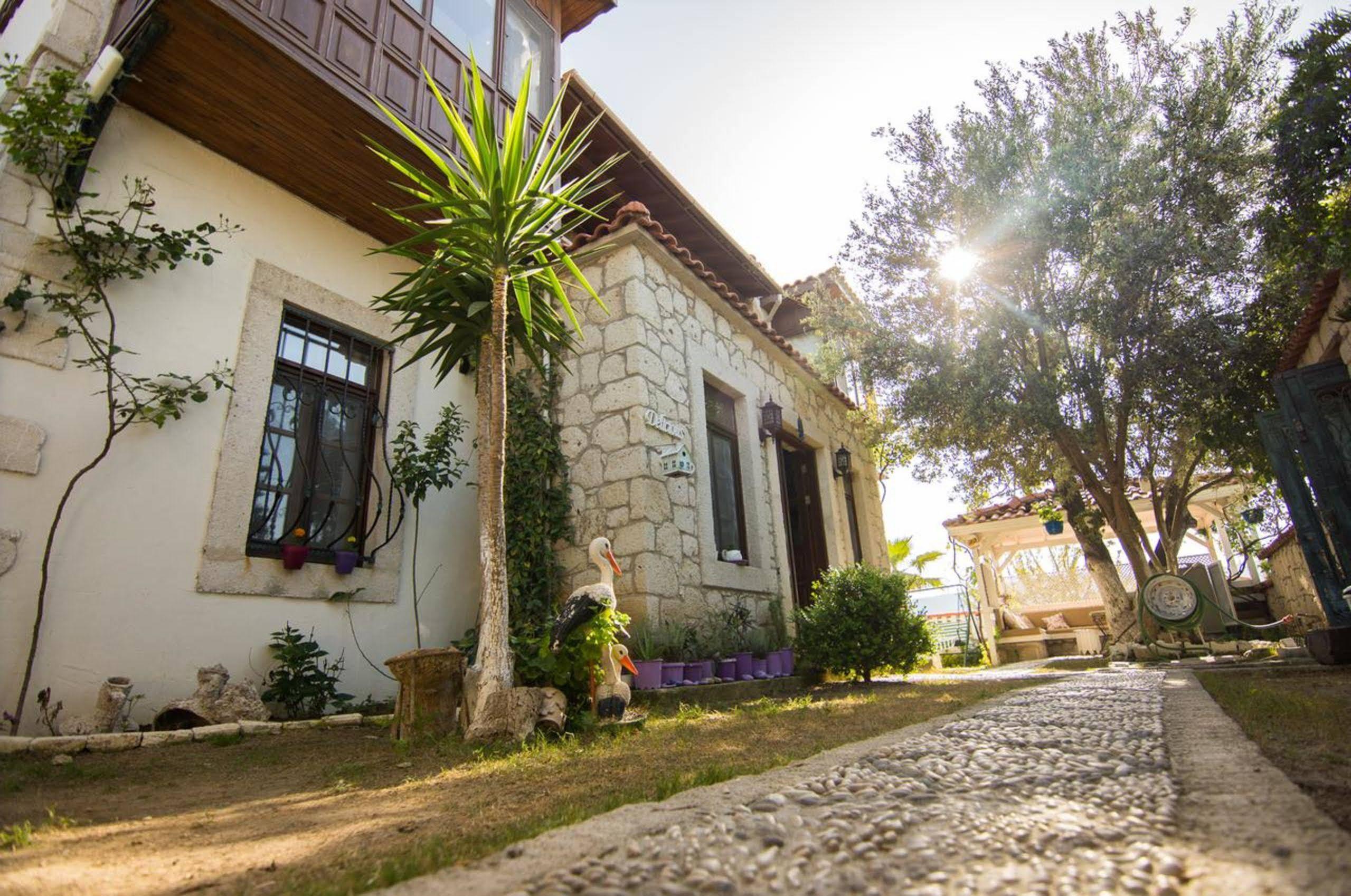 Aisem By Hire 2*