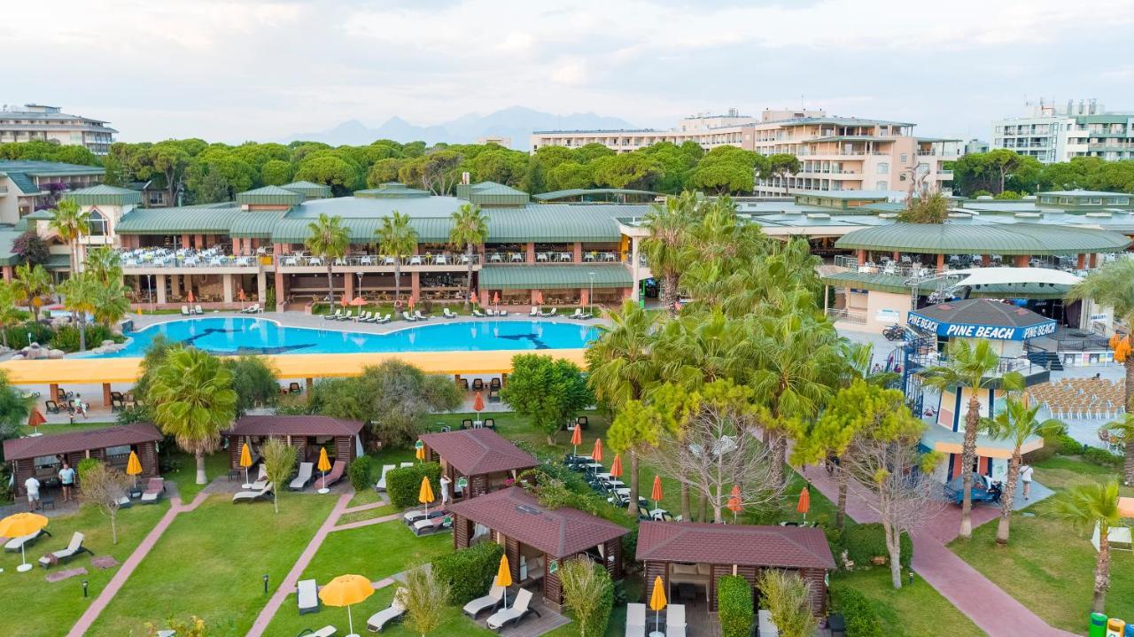 Resort Pine