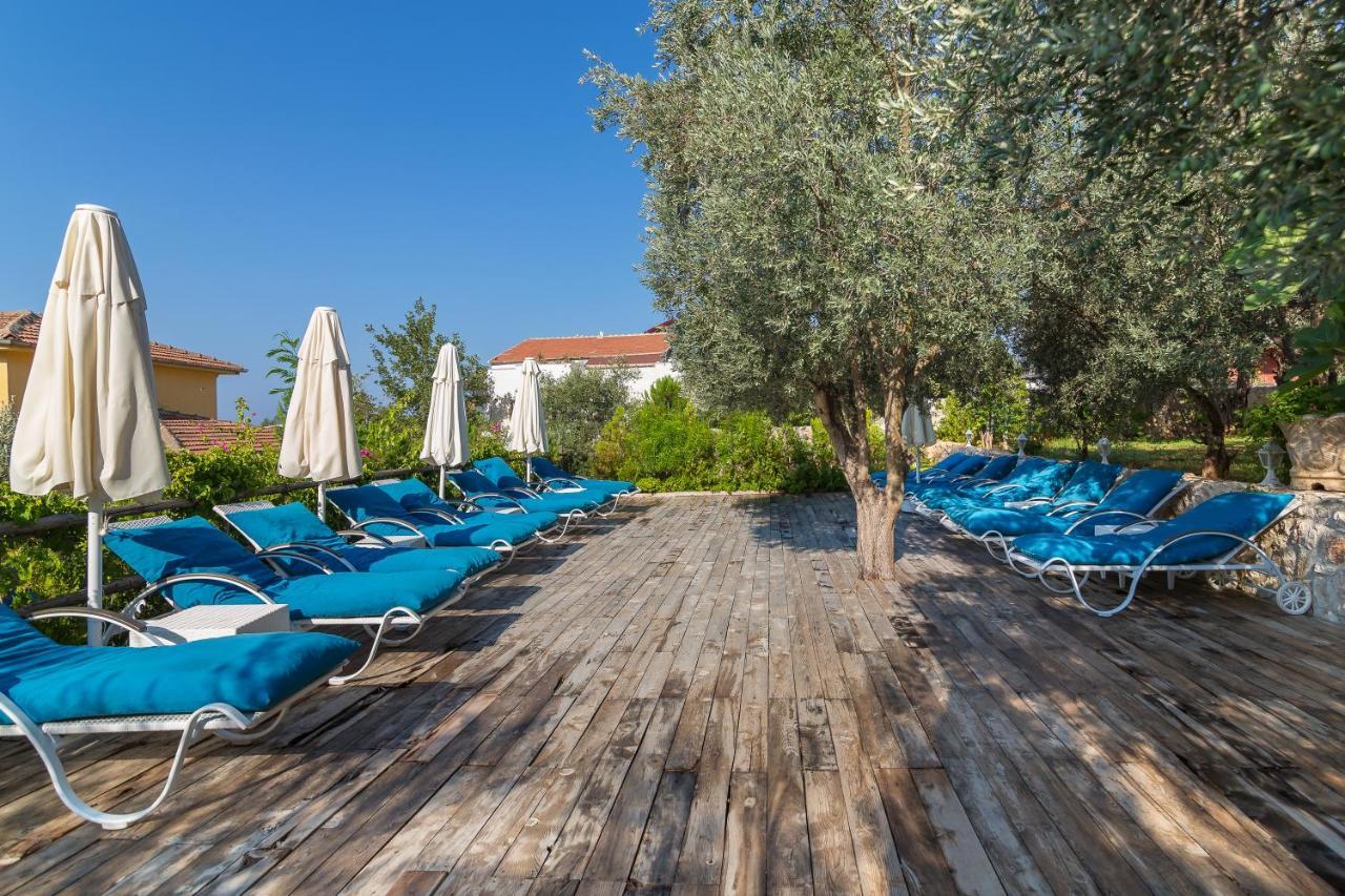 Oasis (adults Only) 2*
