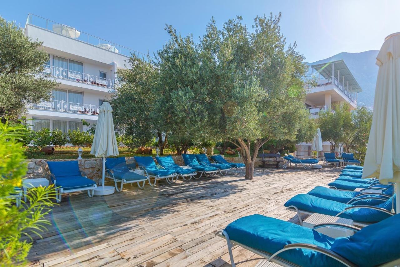 Hotel Oasis (adults Only)