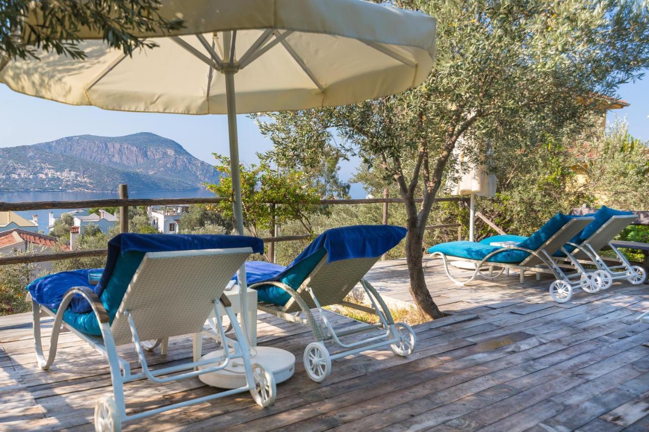 Oasis (adults Only) 2*