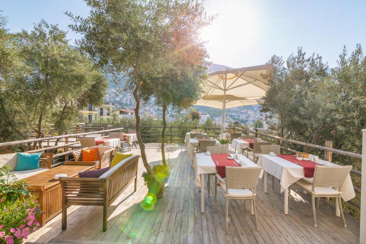 Oasis (adults Only) 2* Kalkan