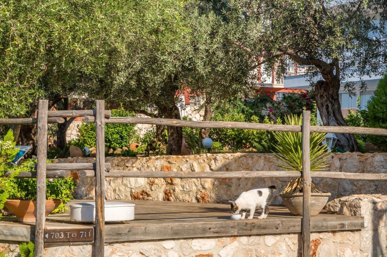 Hotel Oasis (adults Only) 2*