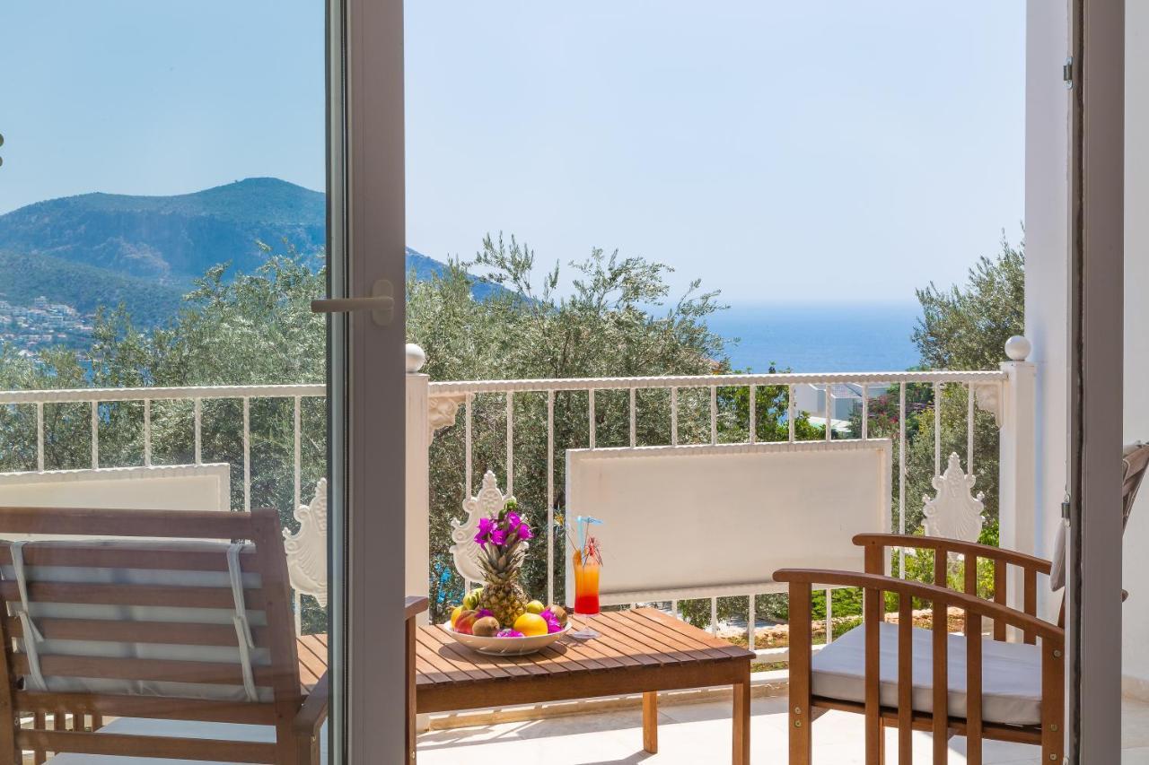 Oasis (adults Only) 2*