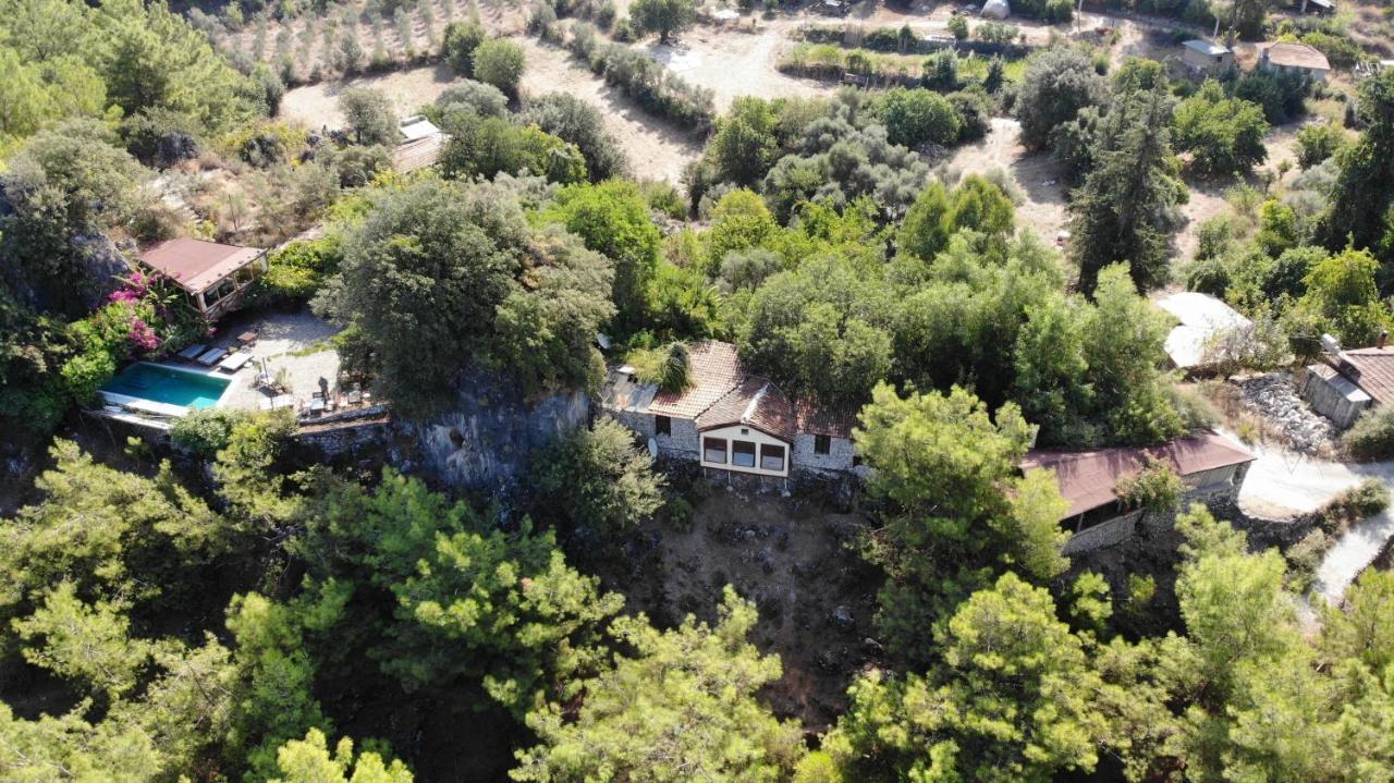 Villa Gokbel 3*